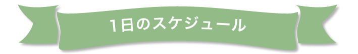 1日のスケジュール