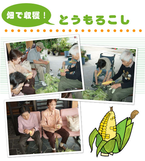 �Ƃ����낱��